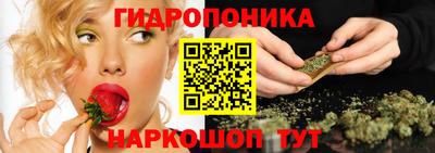 гидропоника Кунгур