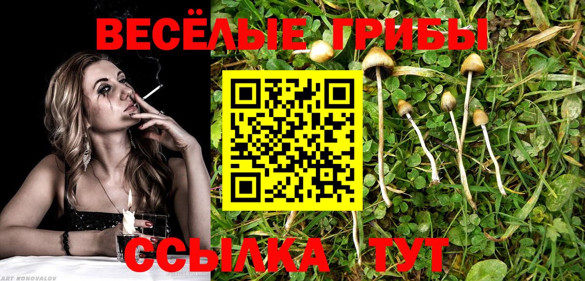 Королёв  Галлюциногенные грибы прущие грибы  Вход с VPN 